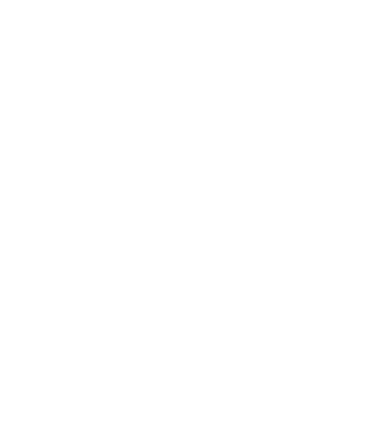 Rosat's Franchise Information